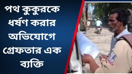 পথ কুকুরকে ধর্ষণ করার অভিযোগ ব্যক্তির বিরুদ্ধে