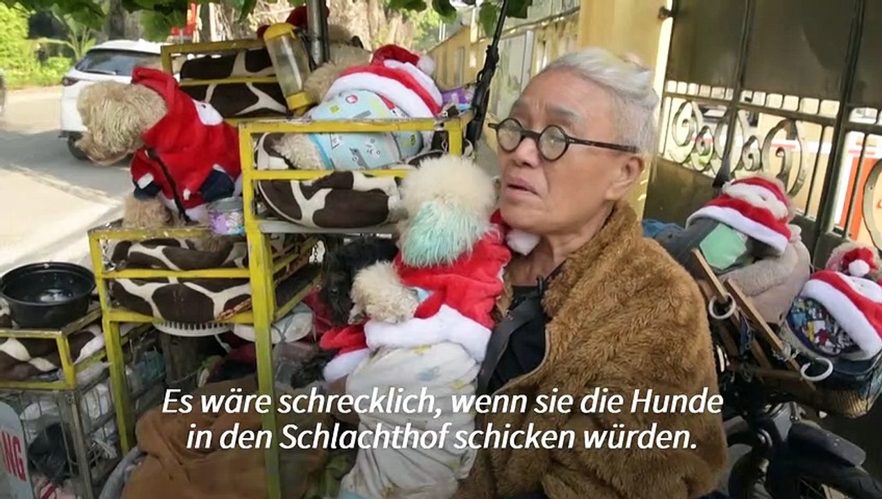 Vietnam: Mit dem Tuk Tuk gegen den Verzehr von Hundefleisch