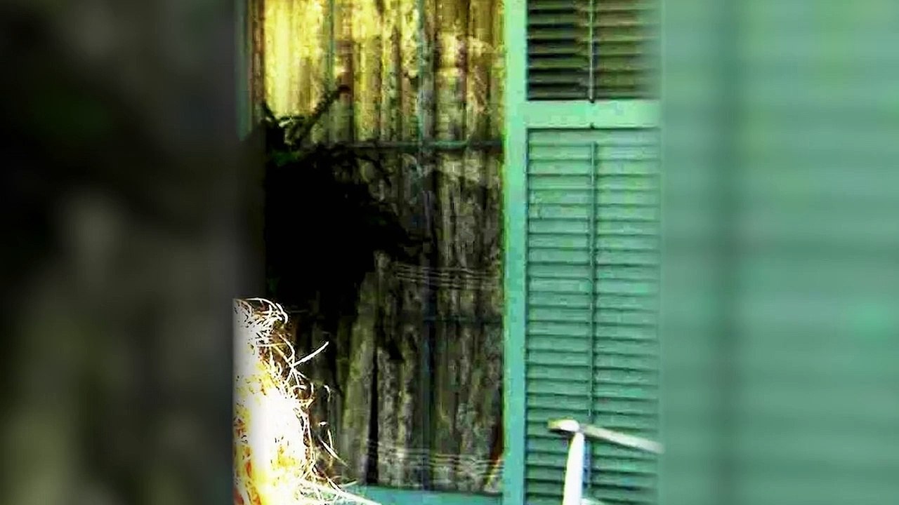 World's Most Unexplained - Se1 - Ep04 - Legends Never Die HD Watch HD Deutsch