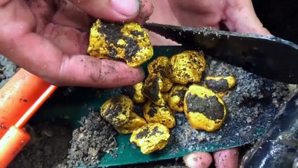 World's Most Unexplained - Se1 - Ep12 - Hidden Relics HD Watch HD Deutsch