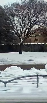 La France Sous la Neige ☃️ Grenoble & Échirolles #Grenoble #Échirolles #Neige (235)