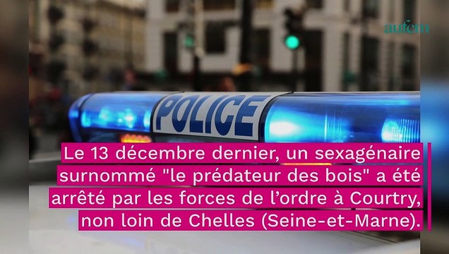 Prédateur des bois : un sexagénaire avoue être l’auteur de plusieurs viols et séquestrations