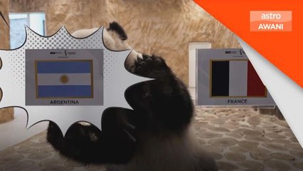 Piala Dunia 2022 | Panda ramal Argentina menang Piala Dunia