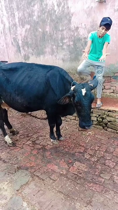 Mere babu hai tu