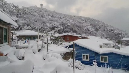 [날씨] 북극 한파에 또 폭설...한파 내일 낮 풀려 / YTN