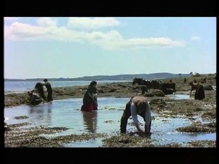 December Bride Bande-annonce (EN)