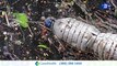 Investigadores australianos desarrollan un polvo magnético para eliminar microplásticos del agua | La buena noticia