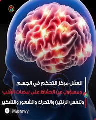 هذه الأطعمة غذاء للعقل.. تناولها باستمرار