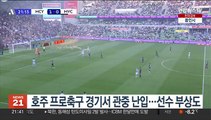 호주 프로축구 경기서 관중 난입…선수 부상도