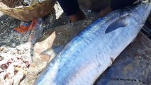 Amazing Seer Fish Cutting Skills_Expert Cutting Seer Fish In Kasimedu Fish Market