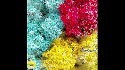 Solo Tú | Voz Humana | Parte 4