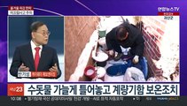 [뉴스포커스] '강력 한파' 설악산 영하 22도…서해안 대설특보