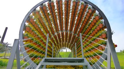 11 Amazing Farms You Haven't Seen Before