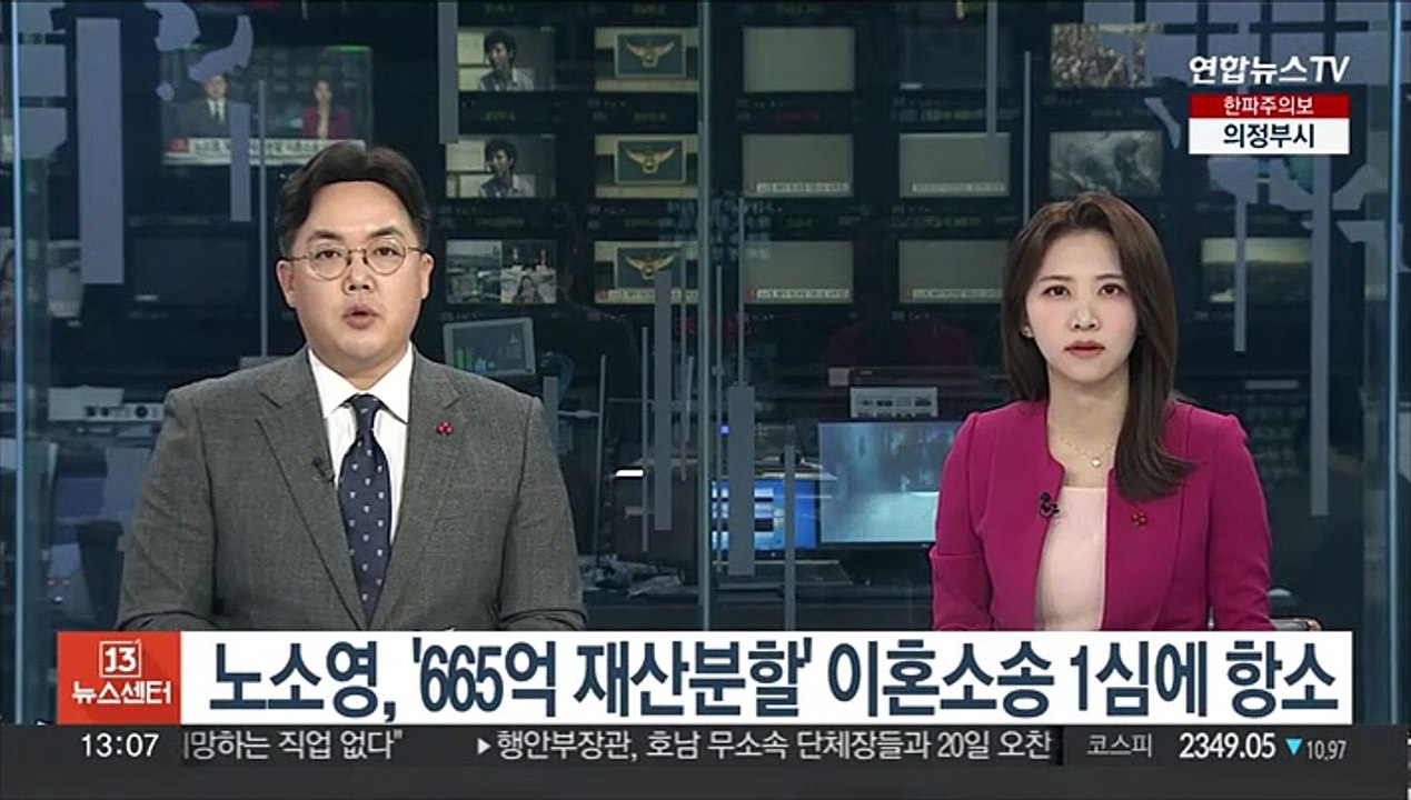 노소영, '665억 재산분할' 이혼소송 1심에 항소