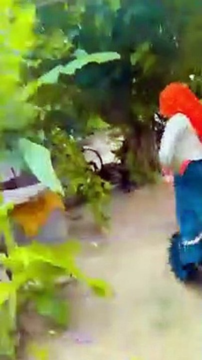 राजस्तानी सोंग new