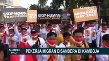 Desakan Agar Pemerintah Bantu Pulangkan Pekerja Migran Kamboja ke Tanah Air