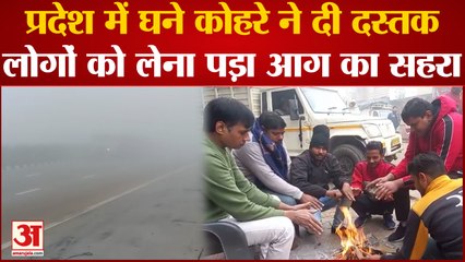 Baghpat News: प्रदेश में घने कोहरे ने दी दस्तक, सड़कों पर रेंगते नजर आए वाहन |UP News |Winter Season
