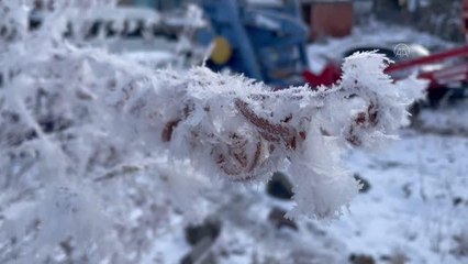Soğuk hava etkili oluyor