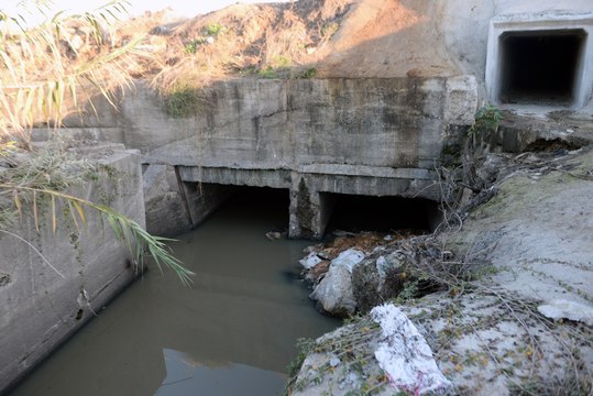 Dere yatağında eşek başı ve kemikleri bulundu