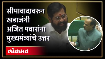 नागपूर अधिवेशनात खडाजंगी, सीमावादावरुन मुख्यमंत्री आणि अजित पवार भिडले Ajit Pawar VS Eknath Shinde