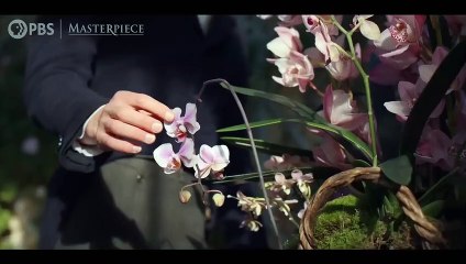 Sanditon Staffel 3: Spannender Trailer jetzt ansehen! 🎬