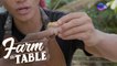 Farm To Table: Unleashing the Chef’s secret weapon!
