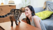 Did You Know? CAT HEADBUTT || RANDOM, AMAZING and INTERESTING FACTS AROUND THE WORLD