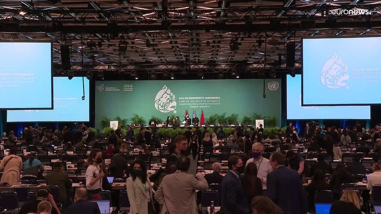 COP 15, accordo per la protezione della biodiversità
