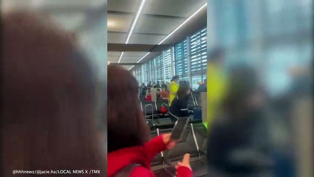 36 people injured after Hawaiian Airlines flight to Honolulu suffers turbulence sending cabin into chaos