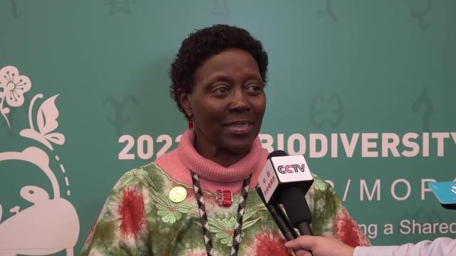 BM Biyolojik Çeşitlilik Sözleşmesi İcra Sekreteri: Cop15 Çin'in Başkanlığı Altında İyi İlerliyor