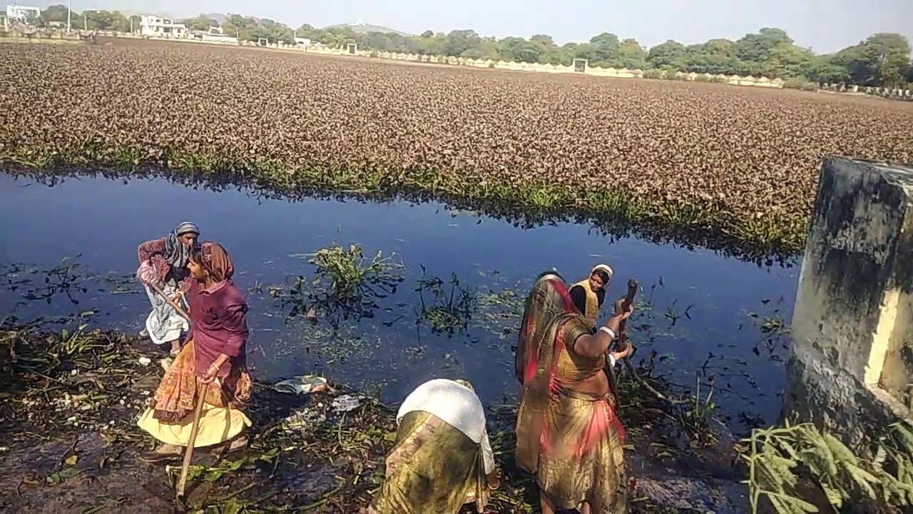दस साल से जमीं जलकुंभी को निकाल रही शहरी मनरेगा श्रमिक महिलाएं