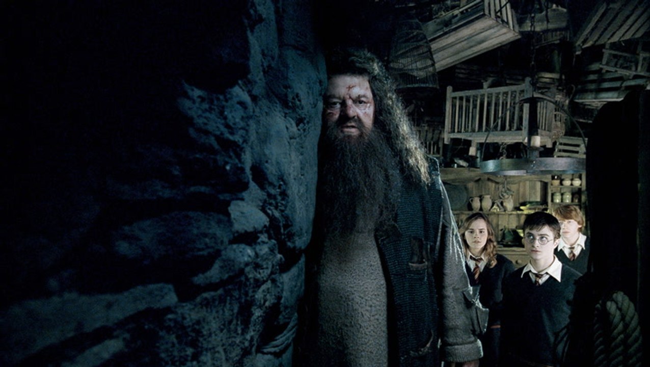 Die traurigsten todesfälle 2022