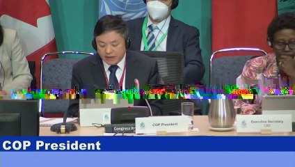 COP15 alcança acordo para tentar proteger 30% das terras e do oceano