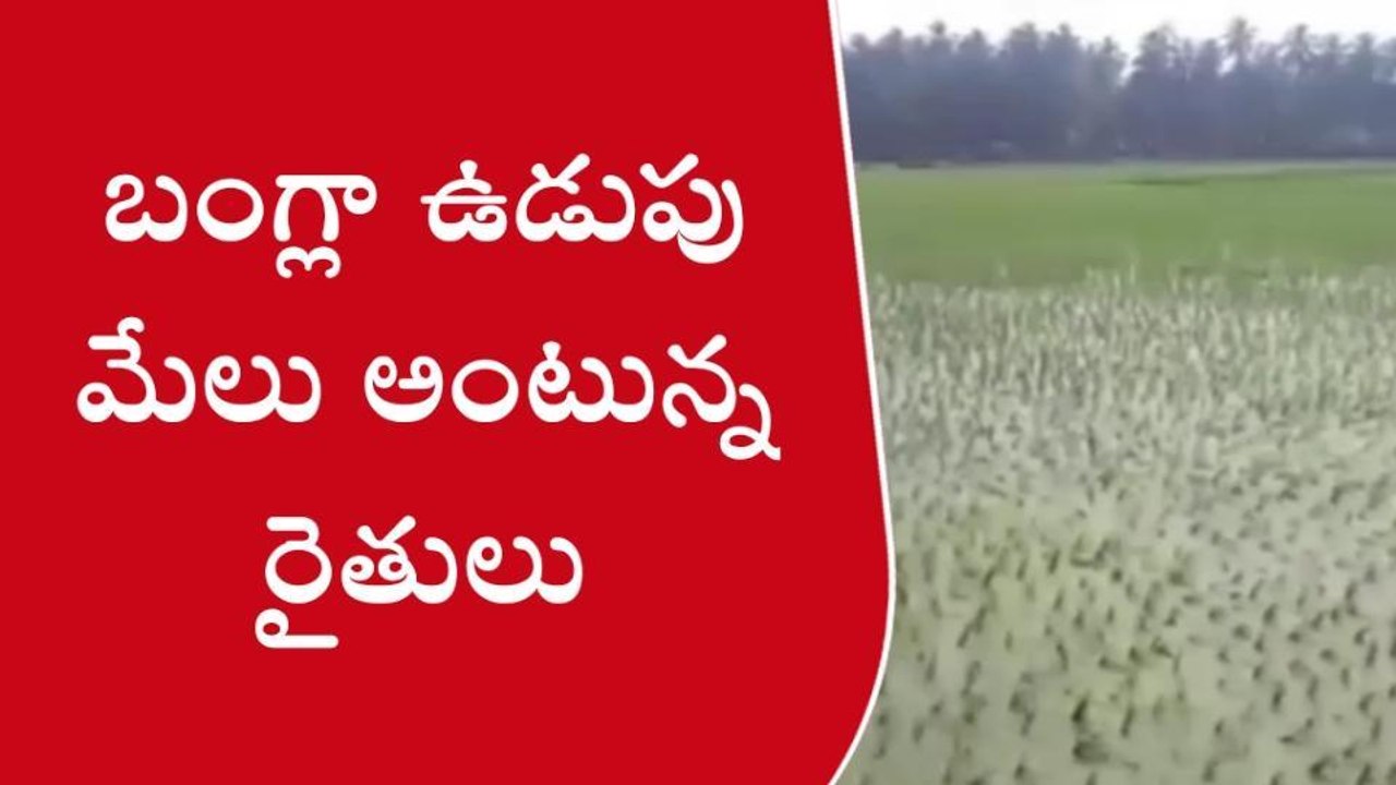 పశ్చిమ గోదావరి: వరి రైతులకోసం భలే న్యూస్