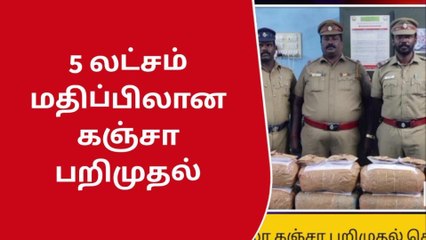 Tải video: அம்பை: ரூ 5 லட்சம் மதிப்பிலான கஞ்சா பறிமுதல்