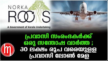 പ്രവാസികൾക്ക് നാട്ടിൽ ബിസിനസ്സ് തുടങ്ങാൻ സർക്കാർ വായ്‌പ്പ