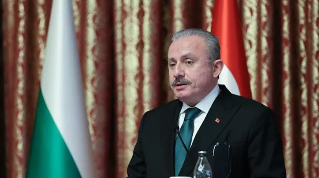 TBMM Başkanı Şentop, Bulgaristan Meclis Başkanı Raşidov ile açıklamalarda bulundu