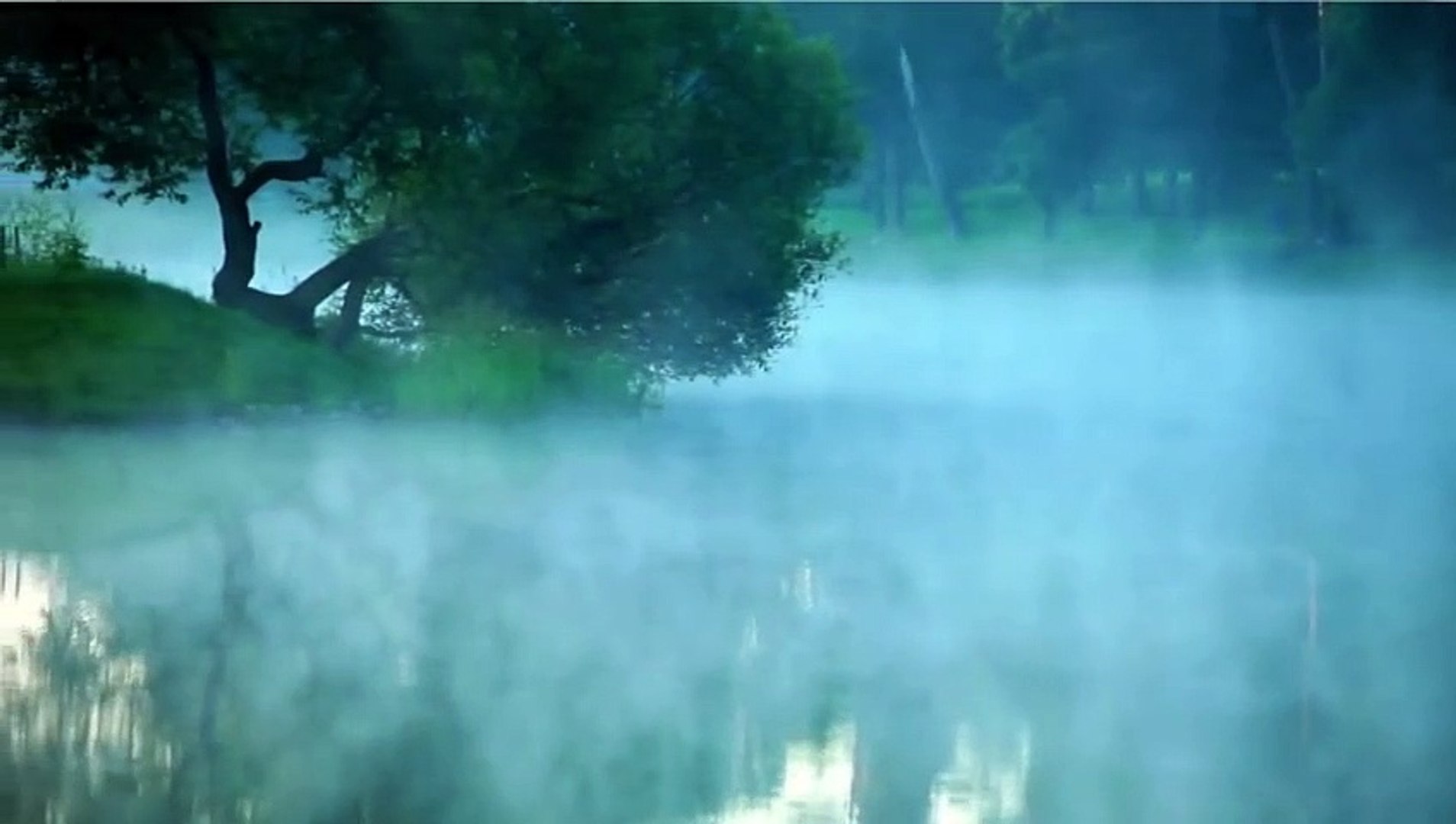 Meditation Music  Relaxing Music  Deep Sleep Music  Peaceful Music  Stress Relief Music