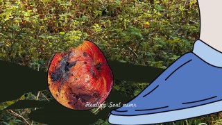 ASMR Remove botfly maggots found inside mountaineer's mouth _ Dental care animation