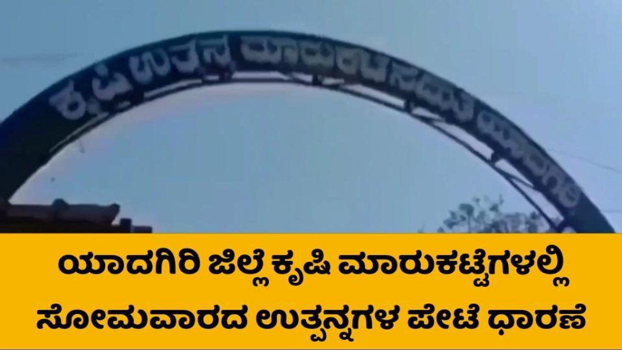 ಯಾದಗಿರಿ: ಎಪಿಎಂಸಿಯಲ್ಲಿ ಹತ್ತಿ-ಭತ್ತಕ್ಕೂ ಉತ್ತಮ ದರ