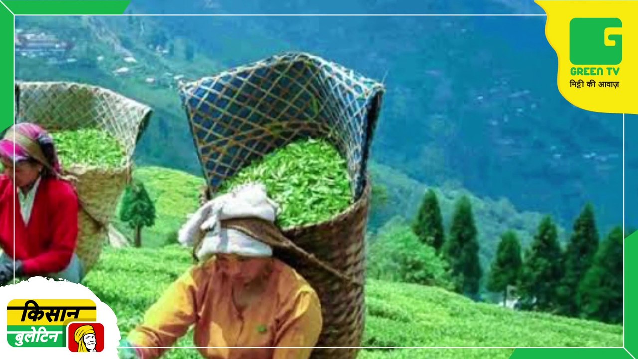Kisan Bulletin 19 December 2022 - किसानों का लोकप्रिय सीमैप किसान मेला जल्द आयोजित होगा - औषधीय फसलों की खेती और प्रसंस्करण की जानकारी