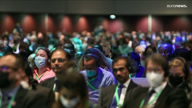 Historic biodiversity deal reached at the COP15 summit in Montreal