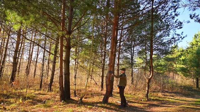 Building a Shed for my FARM, Installation of a LARGE METAL ROOF - First Winter