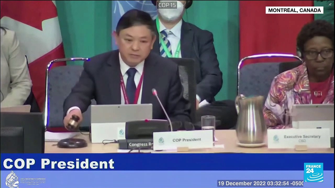 COP15 : 23 objectifs adoptés pour tenter de sauver la nature