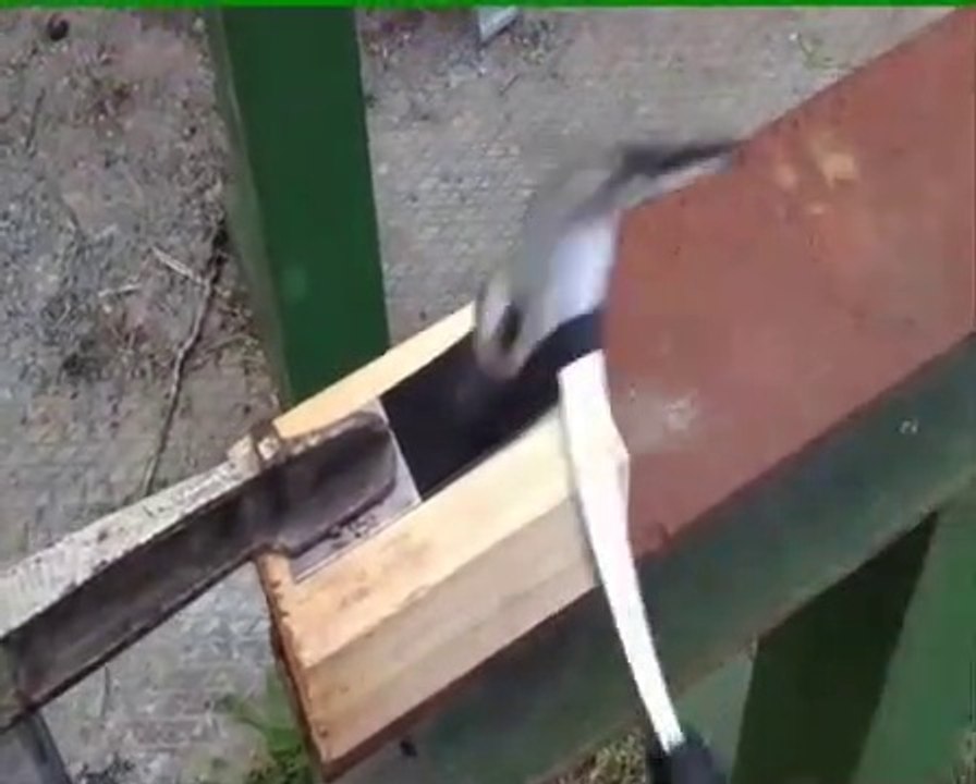 Hammertest Buschtaxi