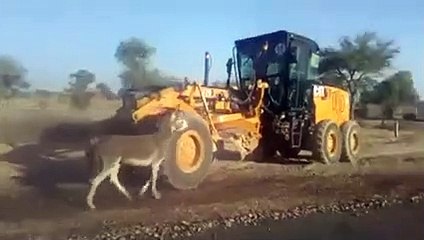 Aik patwari Road nahi banay dy raha 