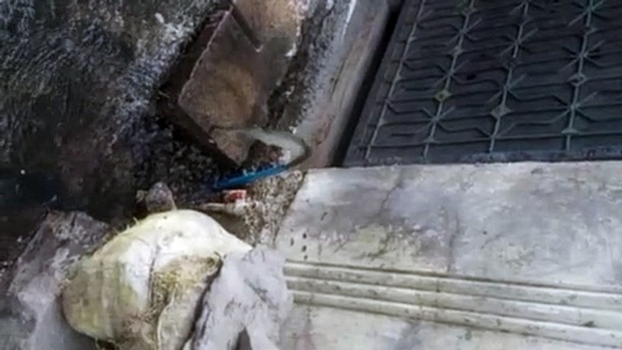आबादी डेढ़ लाख की फिर भी अस्सी फीसदी अभियंताओंं के पद खाली