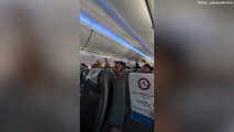 Football fans on flight to Buenos Aires go wild as Argentina beat France in World Cup final