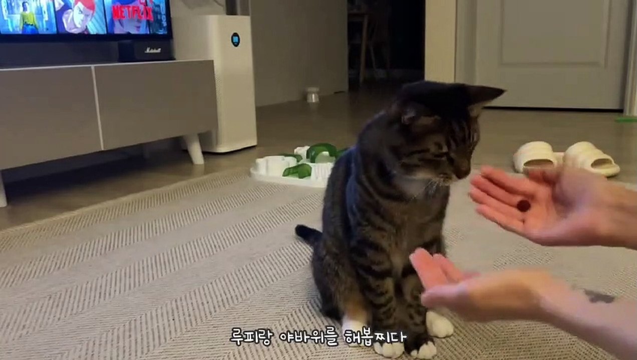 야바위를 해봅시다