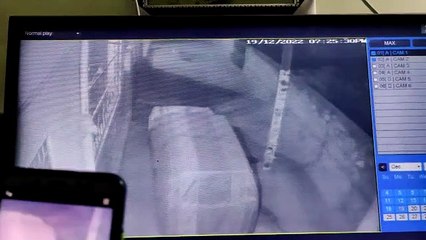 इटावा भोपजी में आबादी क्षेत्र में दिखा बघेरा